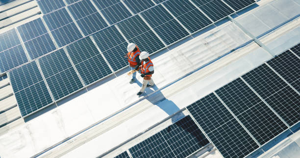 Best Roof Moss and Algae Removal  in Loma Linda, CA